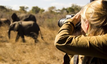 4 days Serengeti and ngorongoro tented camp safari