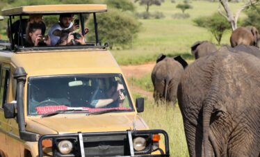 4 days serengeti and ngorongoro tented camp safari