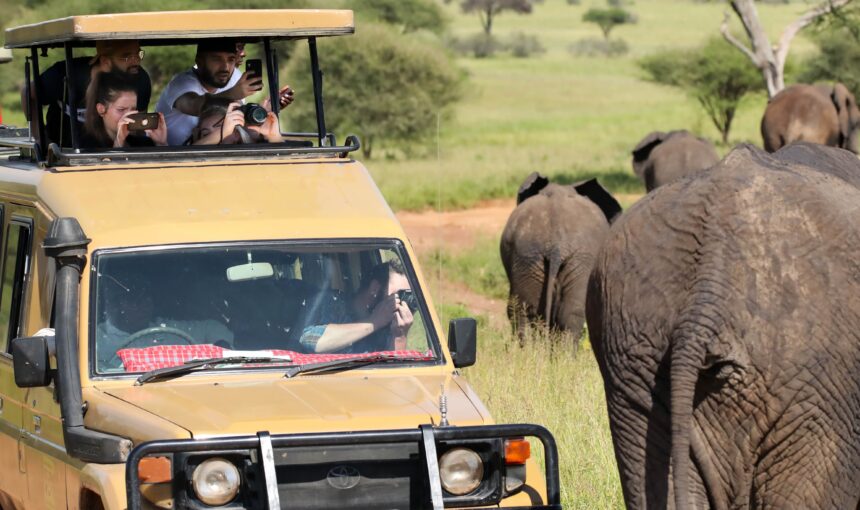 Unforgettable 4 days Tanzania Safari