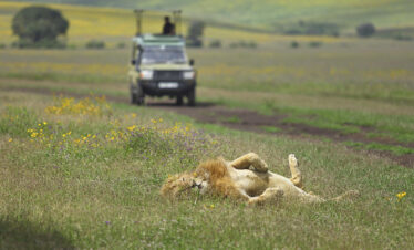 2 Days Tanzania private camping safari