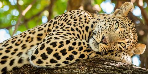 serengeti national park