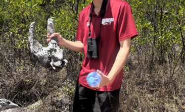 walking safari in Arusha national park