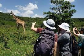 1 day walking safari in Arusha national park