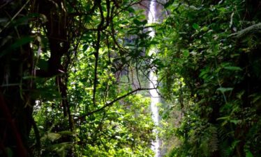 napuru zaterfall daytrip from Arusha