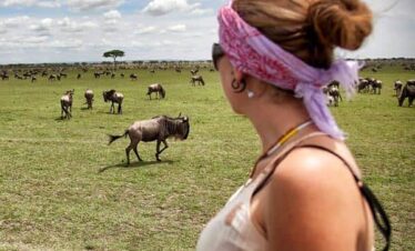 what to expect on a safari in Tanzania?