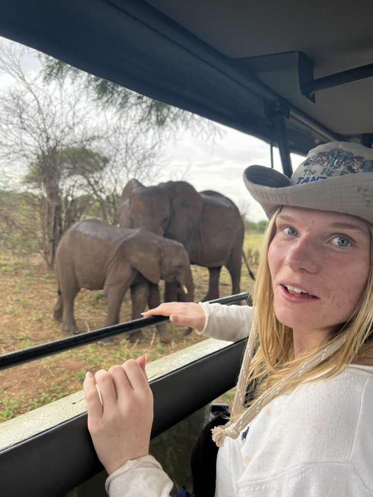 6 Days Tanzania camping Safari