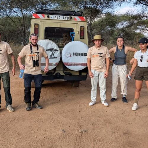 5 days Tanzania mobile camp safari