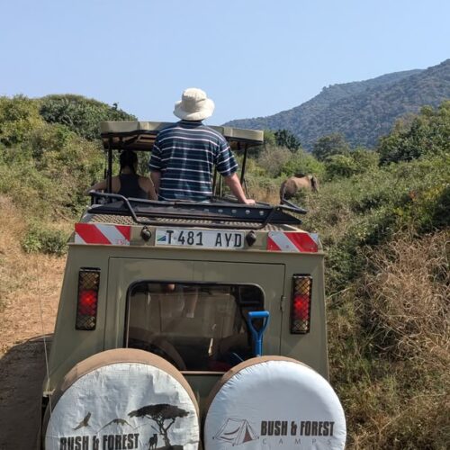 4 days Tanzania best camping Safari