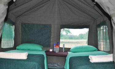 5 days tanzania mobile safari