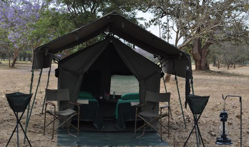 2 Days Tarangire and Ngorongoro Classic Camping tour