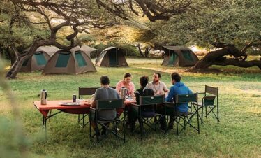 Bush and Forest flying Camps