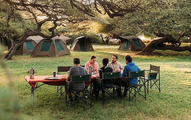 fly camping safari?