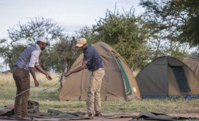 3 days manyara, tarangire and ngorongoro camping safari