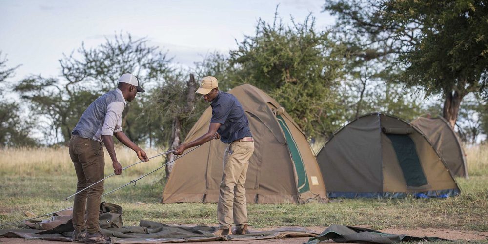 bush and forest camps