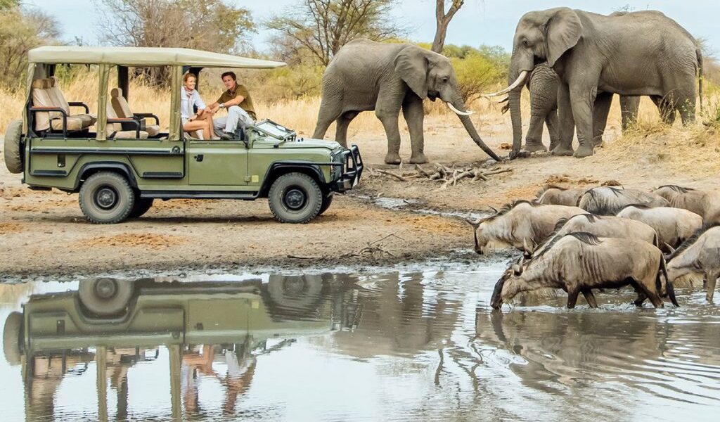 6 days Tanzania big five safari