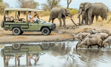 6 days Tanzania best camping safari