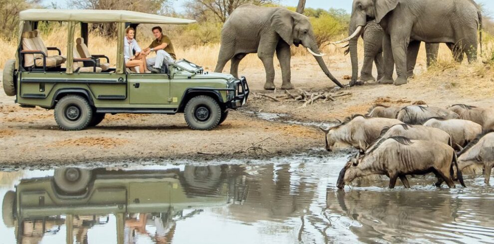 6 days Tanzania big five safari