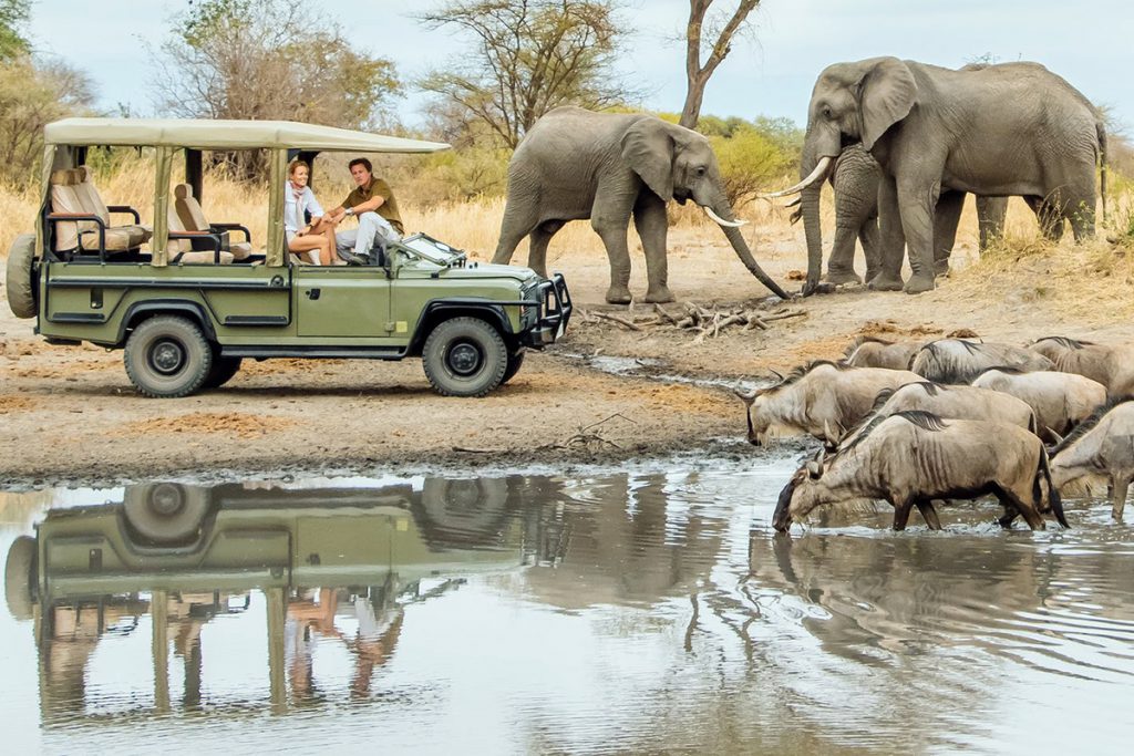 6 days Tanzania big five safari