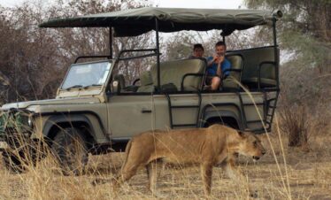 4 days tanzania big cats safari