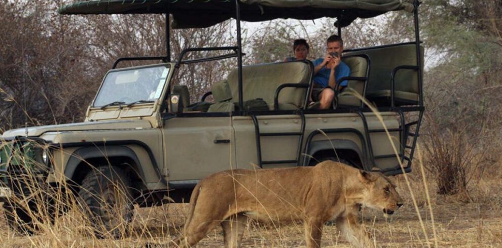 4 days tanzania big cats safari