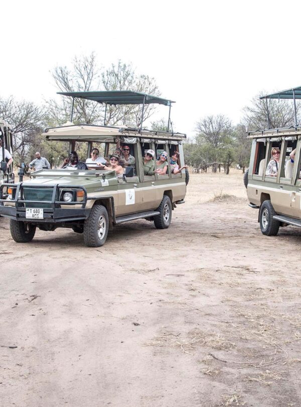 game drive