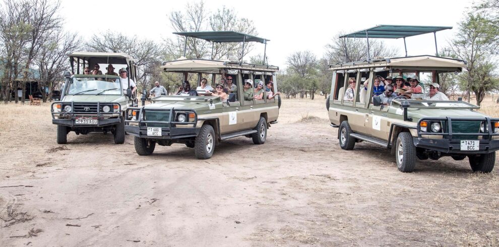 game drive