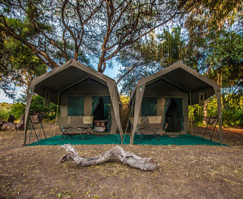 Tanzania camping safari packages