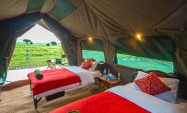 6 days Tanzania camping safari