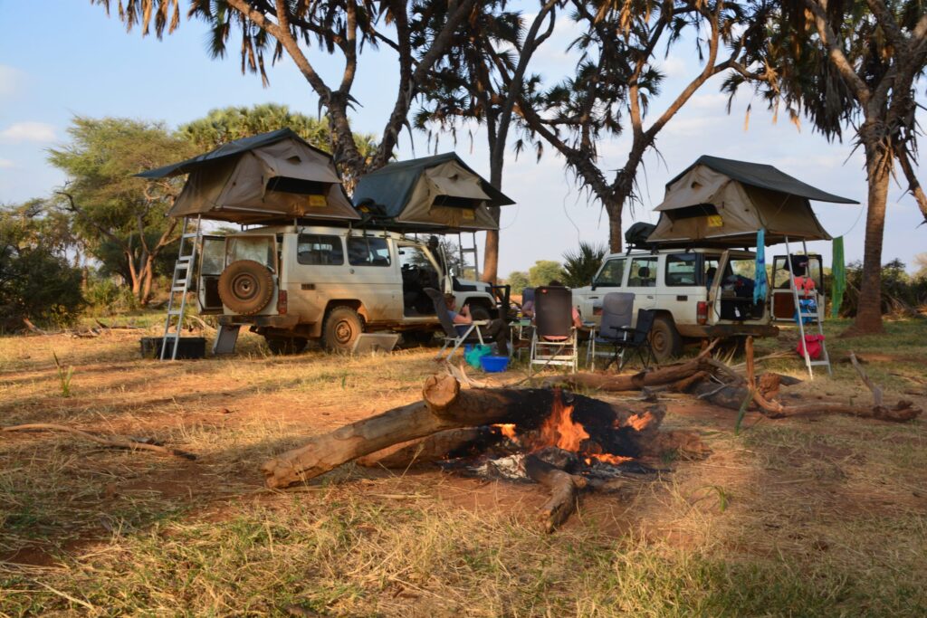 bush and forest camps