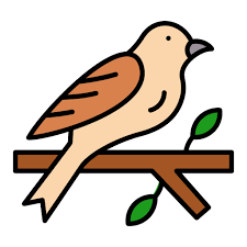 Rehabilitee birds