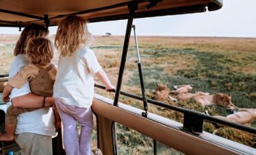 4 day Tarangire Serengeti Ngorongoro lodging tour