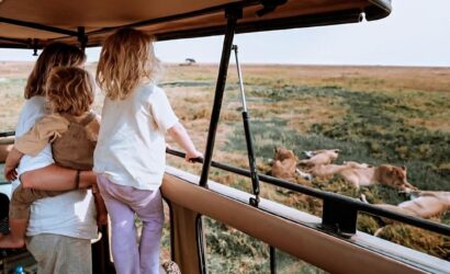 4 day Tarangire Serengeti Ngorongoro lodging tour