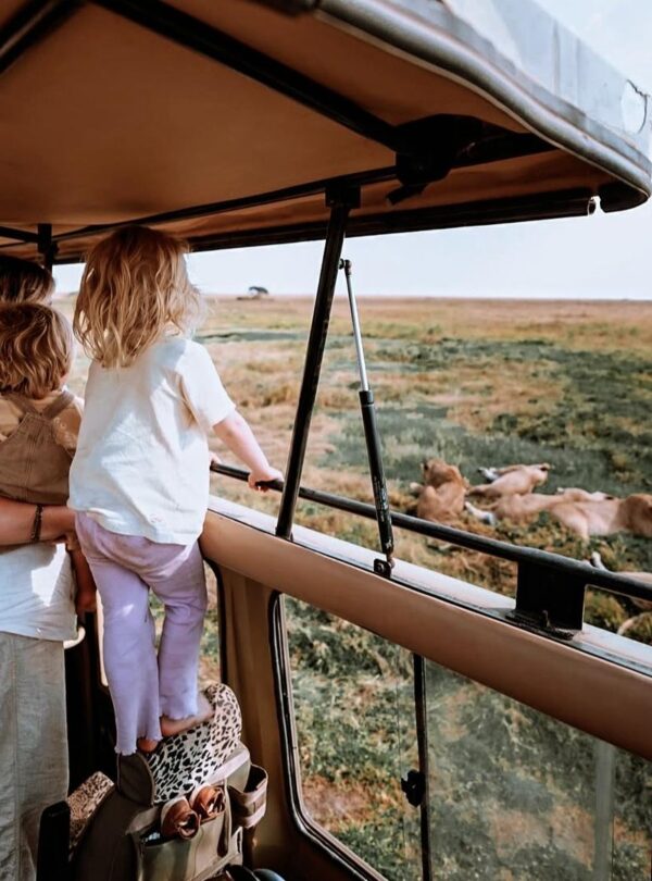 4 day Tarangire Serengeti Ngorongoro lodging tour