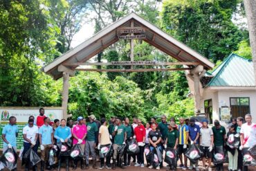 Bush and Forest foundation at Rau forest moshi