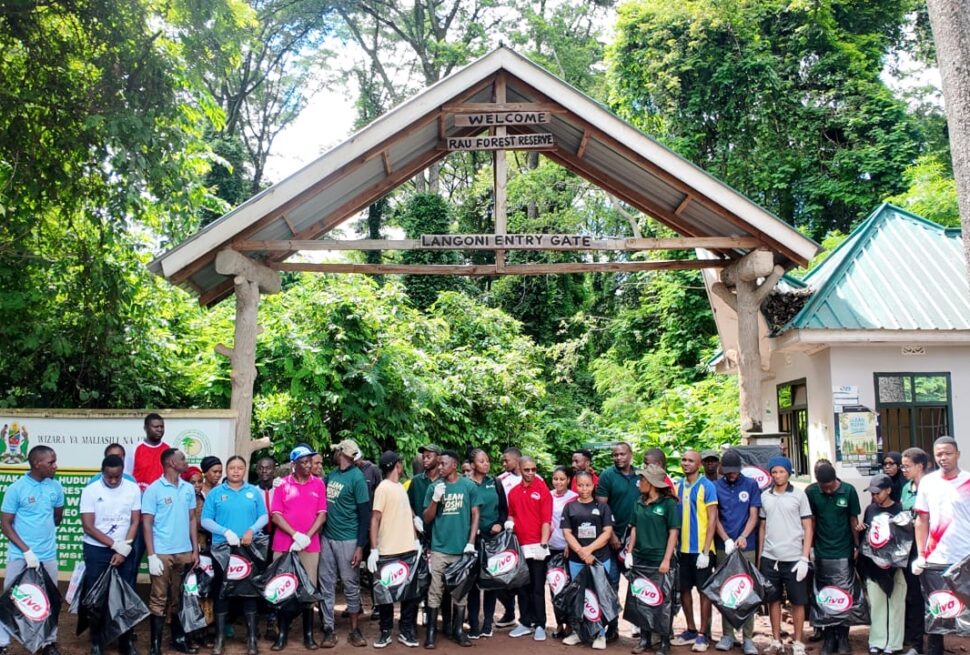 Bush and Forest foundation at Rau forest moshi