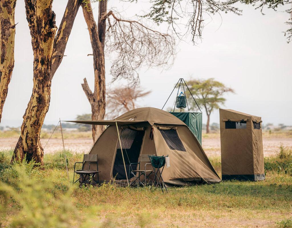 Tanzania safari and Tours