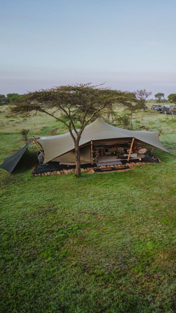 bush and forest camps