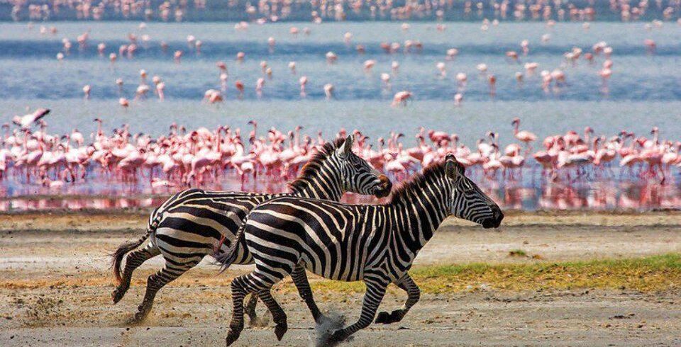 lake manyara national park