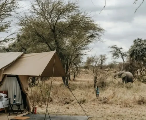 Bush and Forest Serengeti mobile camp